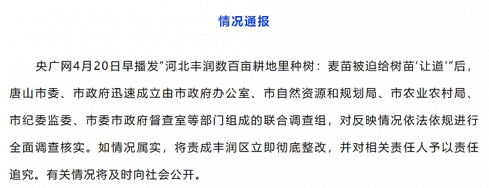 官方回应媒体报道河北丰润数百亩耕地里种树全面调查核实